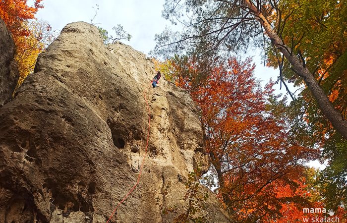 Jesień na Jurze fot. M